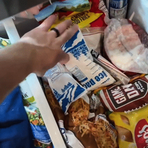 Quarantine Dry Ice Packs