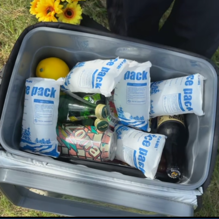 Shipping worldwide dry ice packs