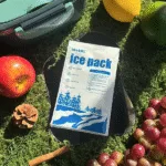 Reusable Ice Dry Ice Pack: Choosing & Using Right