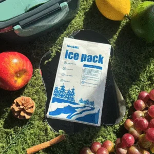 reusable ice dry ice pack