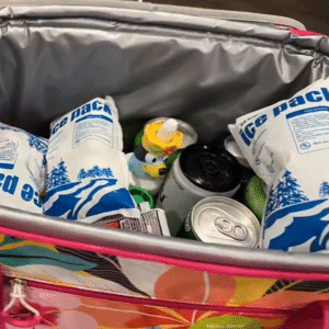 Refrigerant Dry Ice Packs