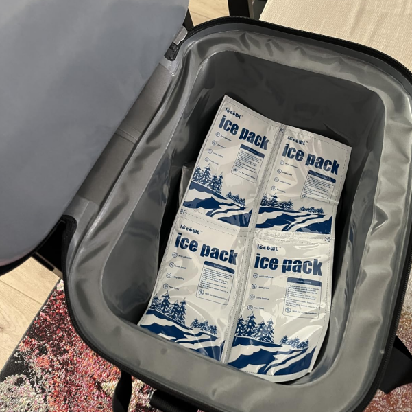 dry ice bag for a cooler