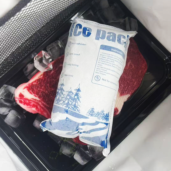 Dry Ice Pack Express Shipping: How to Optimize for Safe and Fast Deliveries Dry Ice Pack Express Shipping