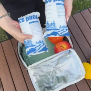 Pacote de gelo seco, envio no mesmo dia