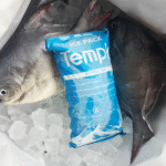 Effective Use of Dry Ice Pack Coolers for Cold Chain Logistics in 2025