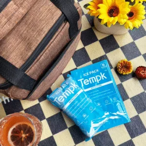 envio Container packs de gelo seco: Como garantir uma remessa segura e eficiente