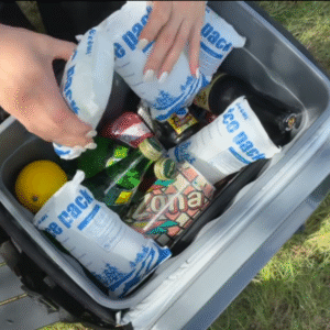 Dry Ice Shipping Bag & Paquete de hielo seco