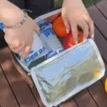 How to Choose the Best Dry Ice Cooler Pack for Safe Shipping