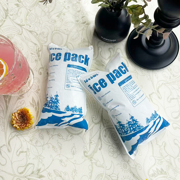 Reusable dry ice packs for vaccine shipping