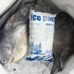 ماذا تعني السلسلة الباردة? استكشف الخدمات اللوجستية التي يتم التحكم في درجة حرارتها & 2025 الاتجاهات