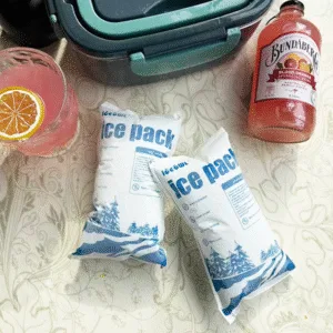 Wholesale pack de gelo seco for Seafood Delivery: Lista de verificação prática para fornecedores