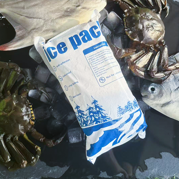 How Cold Chain Technologies LLC Drives Sustainable Logistics and Digital Innovation