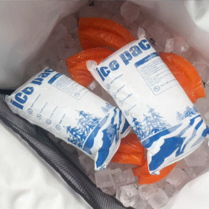 Reusable dry ice packs for fish