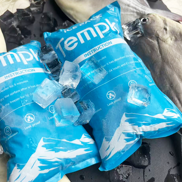 Cheap Dry Ice Packs for Medicine