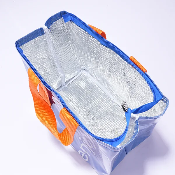 Cold Chain Supply for Pharmaceutical