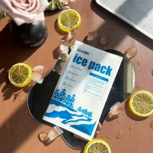 Best Dry Ice Block for Travel