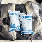 Cheap Dry Ice Sheets for Safe Breast Milk Shipping