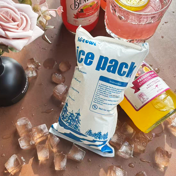 Reusable Dry Ice Pack