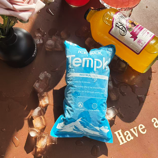 Cheap Dry Ice Gel Packs