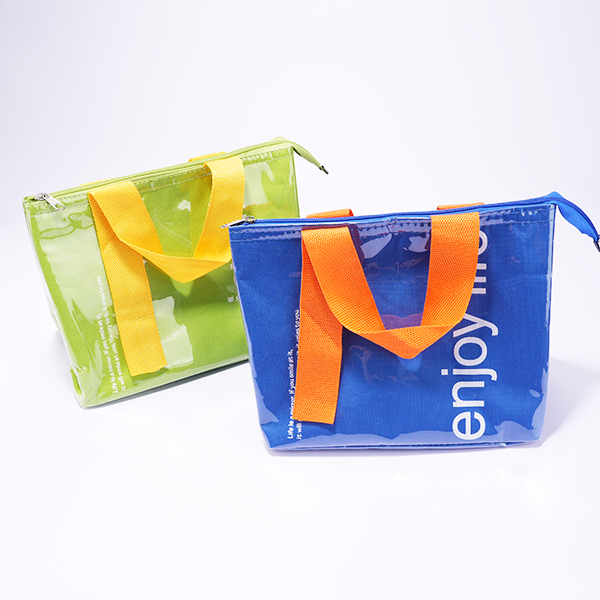 Pharmaceutical Cold Chain Packaging