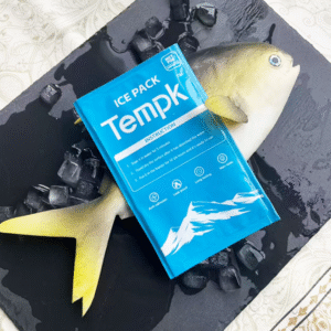 Medical Grade Dry Ice Packs for Medicine