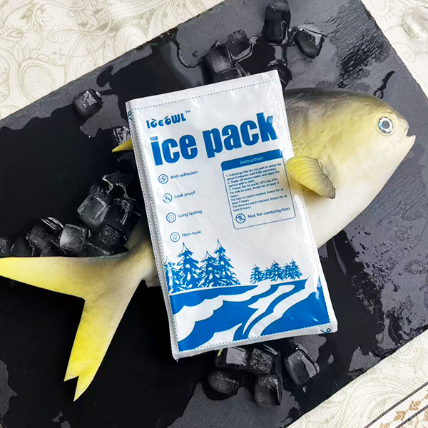 Best Dry Ice Pack for Seafood Shipping