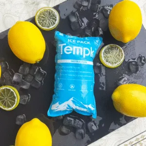 Pacote de gel de gelo seco barato para envio de alimentos