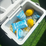 Italy Healthcare Cold Chain Logistics Market: Tendencias, Crecimiento & Perspectiva 2025