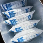 Cold Chain Shippers: Smart, Sustainable Packaging Solutions in 2025