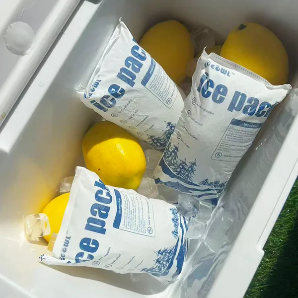 Bagaimana Rantai Dingin Medis Menjaga Keamanan Obat-obatan 2025? 9