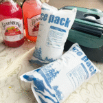 Balok Es Kering Biodegradable untuk Transportasi Obat: Panduan Rantai Dingin Berkelanjutan 2025