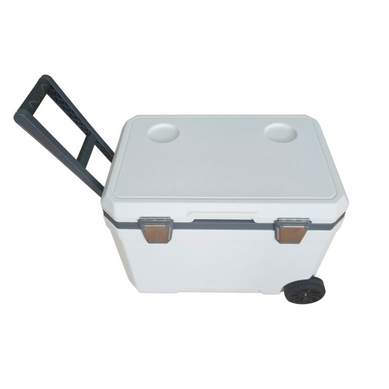 Recyclable EPP Transport Box Price