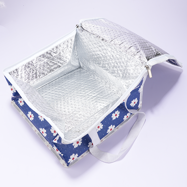 Insulated Lunch Bags for Women