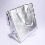 Insulated Shopping Bag Enterprise: Complete Guide 2026