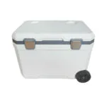 How Do EPP Foam Boxes Transform chaîne du froid Logistics?