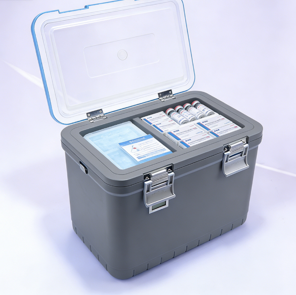 Pharmaceutical Cold Chain Packaging