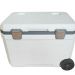 Stackable EPP Cooler Box Large: 2025 Panduan Pembeli & Tren