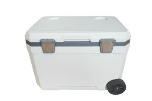 Caja refrigeradora EPP