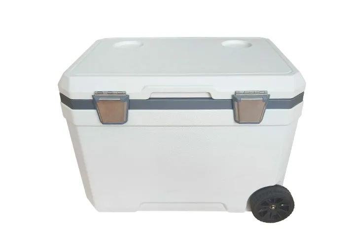 EPP Cooler Box