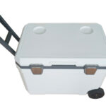 How Bulk EPP Boxes Boost ColdChain Efficiency