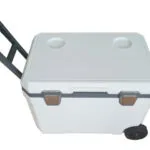 How Bulk EPP Boxes Boost ColdChain Efficiency