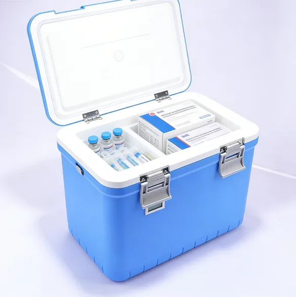 Logística de la cadena de frío de las vacunas: cómo salvaguardar su potenciafeguard entregar de forma segura enliver safely in 2025 Vaccine cold chain logistics
