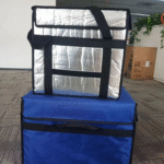 VIP Temperature Controlled Box for Biologics Transport – 2025 Guía