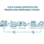 Cold Chain for Frozen & Perishable Foods – 2025 Guide