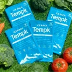 Vegetables cadeia de frio Distribution: Best Practices & 2025 Trends