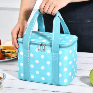 Comment choisir le meilleur sac à lunch pour femmes – Des modèles isolés qui assurent la sécurité des aliments