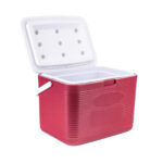 Shock-Absorbing EPP Cooler Box (Dec 2025)