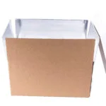 VIP Insulated Container for Dry Ice Shipping (2025)