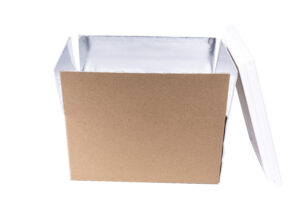 VIP Shipping Container for Frozen Food Logistics