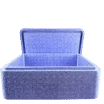 Customizable Lightweight EPP Foam Box (2025)